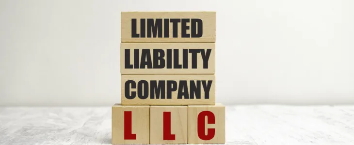 limited liability company llc