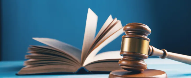 A gavel and law book on a blue background